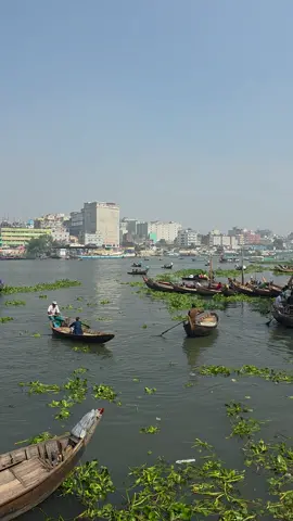 #🥰 #unfreezemyaccount #fyppppppppppppppppppppppp #fyp 