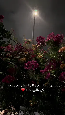 #ياقبر_علمني_عن_أحوال_راعيك 