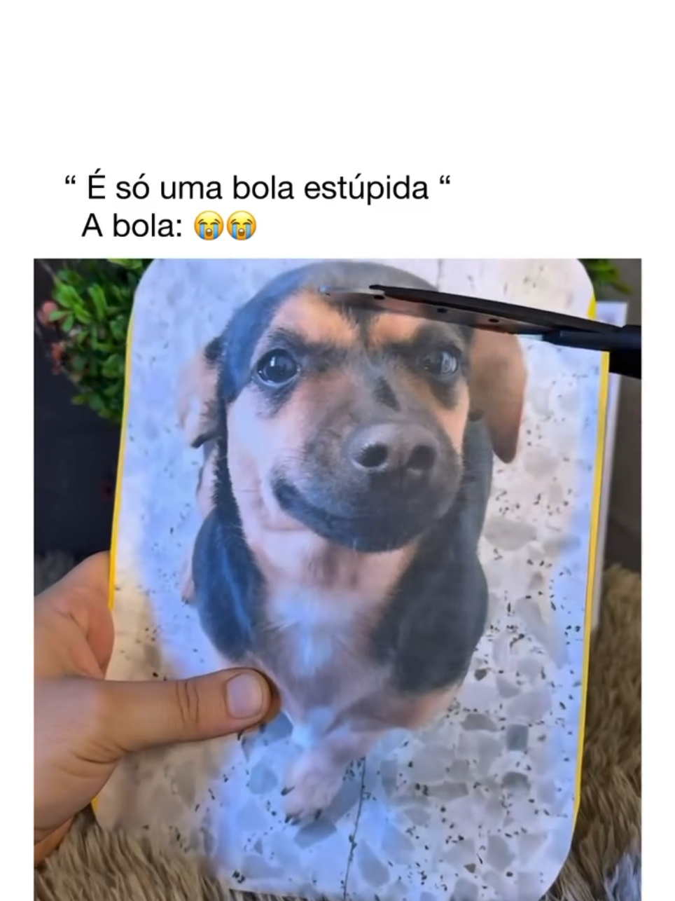 Para achar o produto digite:👉AJL-YLW-DDB ,na busca da shopee. #lembrancinha #lembrancinhadenatal #natal #presentedenatal #presentinho 