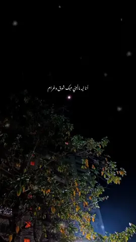 انا ليه ؟ماليني حبك شوق وغرام 💚❤ #سنيوريتا #مشاهدات #نهفات #ضحك #اغاني     