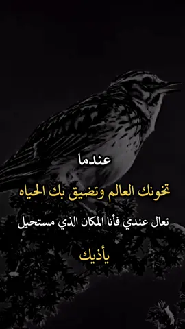 ##افضل_عبارة_لها_تثييت، #عباراتكم_الفخمه📿📌 #اجمل_عبارة_راح_ثبتها📌 