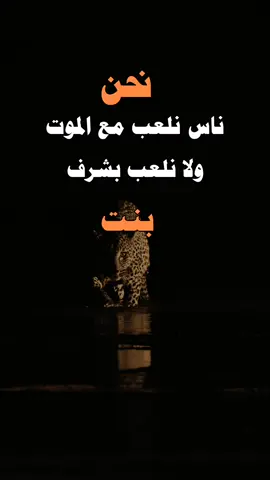 #عبارات #رامو #مالي_خلق_احط_هاشتاقات🧢🙂😂 