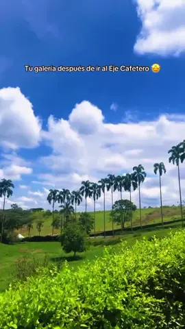 #ejecafeterocolombia #vivelavida #viajesporelmundo #💚💚💚 
