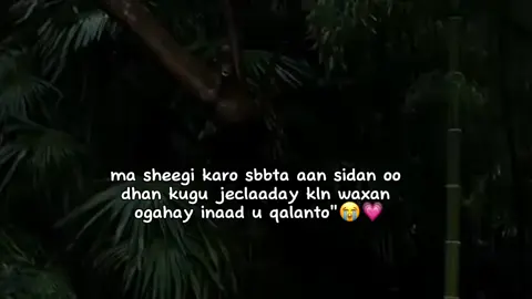 #FORYOU #viewsproblem😭 #yyyyyyyyyyyyyyyyy #somali_somaali_baaleh🇸🇴 