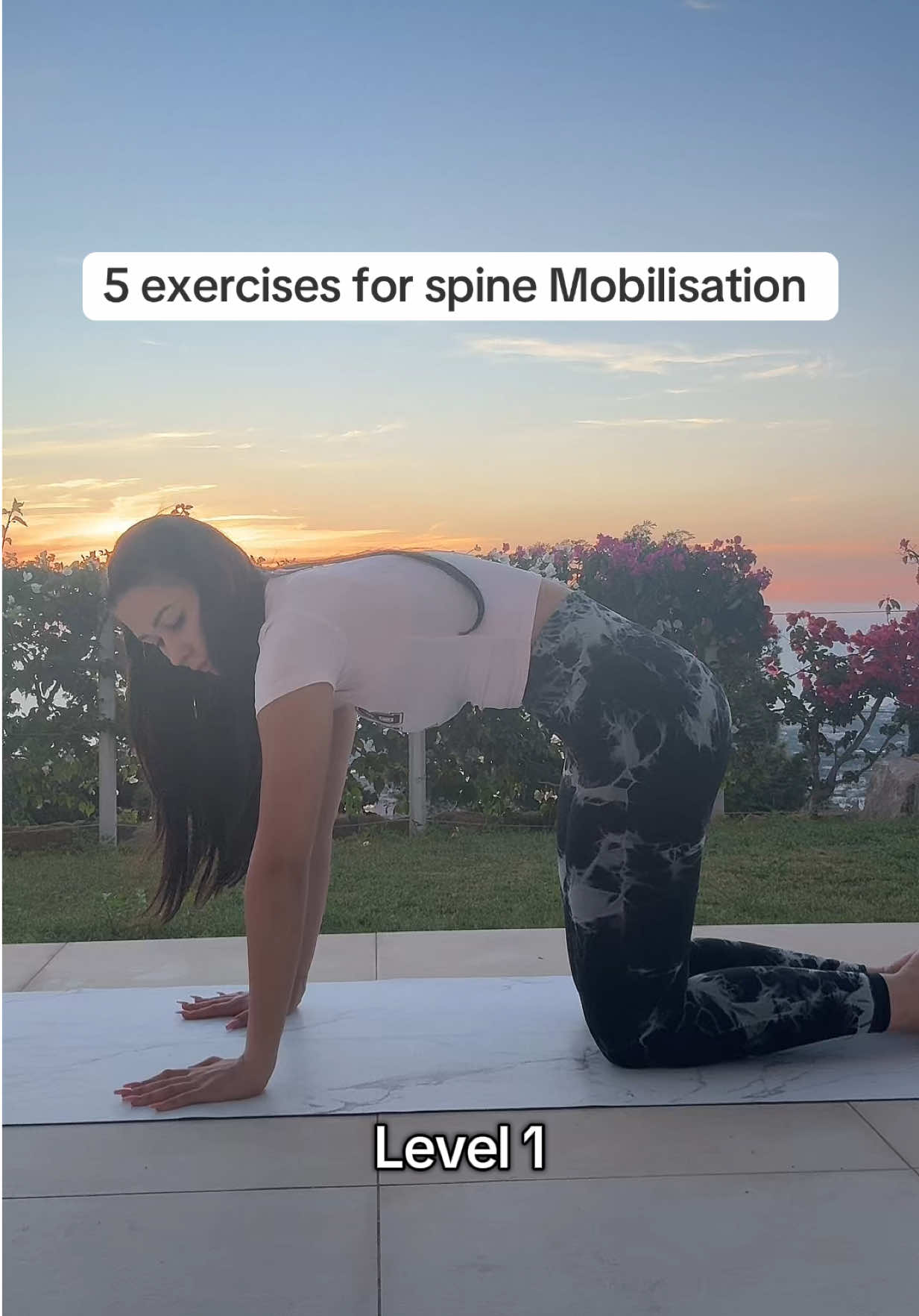 5 einfache Übungen, um deine Wirbelsäule zu mobilisieren.  Du kannst ihn an jedem Ort ausführen zu jeder Tageszeit. Diese Übungen sind für alle Altersgruppen geeignet und helfen dir, dich fit und mobil zu halten ✨ ##WirbelsäulenFlow##deutsch##spinehealth##Mobility##HealthyMovement