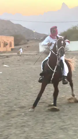 الحب عزام#خيل_عربي #ماشاء_الله #مالي_خلق_احط_هاشتاقات #الوجه 