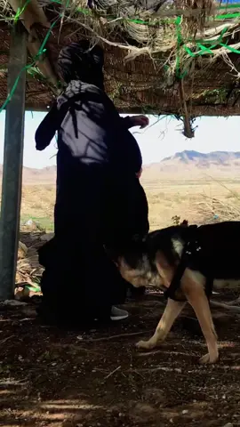 عشقي للبدو لا ينتهي 🇹🇳#اللهم_صلي_على_نبينا_محمد #الشعب_الصيني_ماله_حل😂✌️ #بابل 