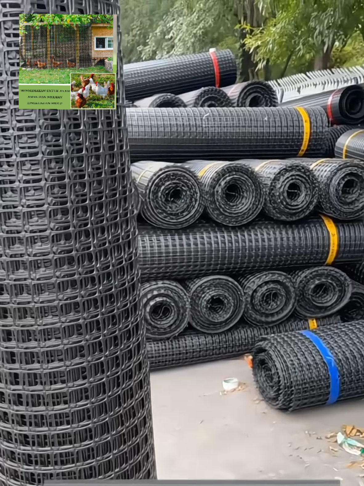 JARING SERBAGUNA JARING KEBUN JARING HEWAN TERNAK #PagarUntukKebun #PagarUntukPeternakan #JaringPelindungUnggas #JaringKebunTahanLama #jaringserbaguna 