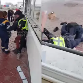 Біла Церква Київська область. Так працівники Поліції не хочуть йти на фронт, що готові кожного українця запхати в окопи а самі бояться йти в окопи . «Поліція нам не кенти». 