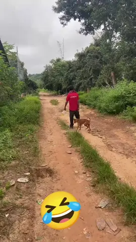 # pas droit de terre#tiktokmali🇲🇱223 