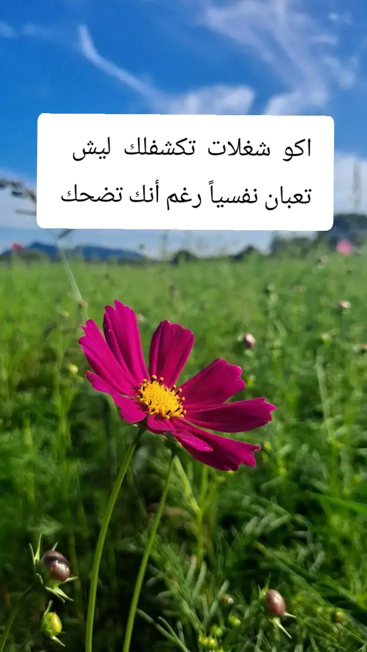 الحمدُ لله من اعماق قلبي 