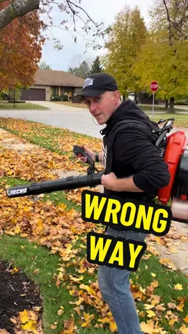 Don’t get rid of this free fertizlier for your lawn #leafblower #lawncare #lawn #lawntok #fyp  