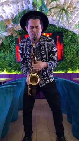 Sax vibes that move the soul 🎵✨ From jazz and R&B to Afrobeat and pop, The Groove Saxophonist delivers live performances that turn any event into a vibe. 📞 Now booking for weddings, parties & special events! #saxophonist #fypシ❤️💞❤️ #fun #event #nyc 