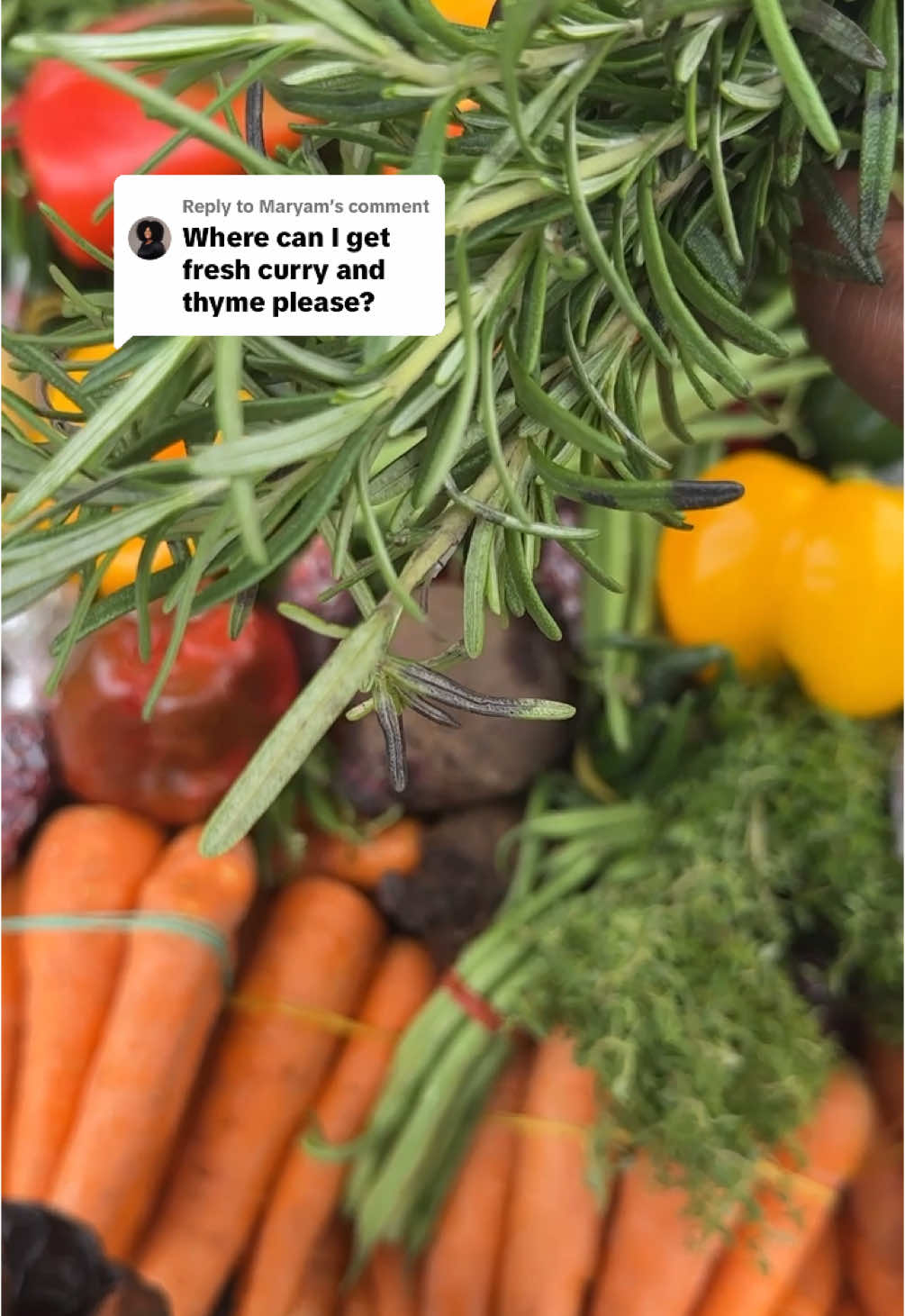 Replying to @Maryam you can get it from aboki in the market or in your area  It depends some have and some don’t  Fresh thyme and fresh rosemary  You can also see in big supermarkets i know of spar at ikate and rennne at phase 1  ShopRite sometimes  For curry leaves if that’s what you mean I don’t really use it but you can see where they sell ginger,garlic,cloves,chia seeds just ask around in the market 