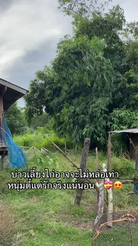 #หนุ่มหลัง_สภ #ซุ้มตุ๋มส_สมบรูณ์ #ผุบ่าวเลี้ยงไก่🐓💕 #มุกดาหารหวานมาก🥶💖 