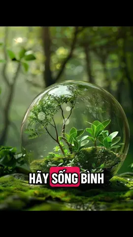 Bình tĩnh sống 09.11.2025 #binhtinhsong #camxuctichcuc #tichcucmoingay #chualanhtamhon #truyendongluc 