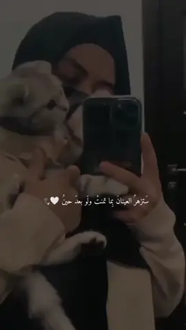 وتمضي حياتنا گــخريف هادئ😴 گل يوم تسقط منك ورقة.🍂