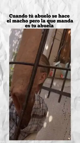 jajajajaja lo amo #abuelostiktokers #abuelosynietos #abuelos #videosparadedicar #videosgraciosos 