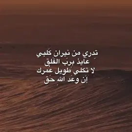 #ان وعد آلله حق 🕊