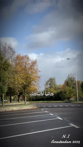 حاليا أنا احتاجك#بسام_مهدي #اكسبلورexplore #تصويري #holland #foryoupage 