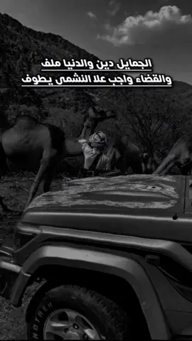 #_مشاهدات #الجمايل دين والدنيا ملف#شعر #قصايد  #fypシ゚ 