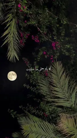 اه يا ه حتى ما ستنيت ❤️😍#اغاني_بدون_موسيقى #ليبيا #سوريا #تصميمي #تصويري 