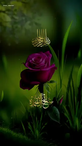 #راحة_نفسية #القران_الكريم  #tranding #videoviral #zee_alquran 