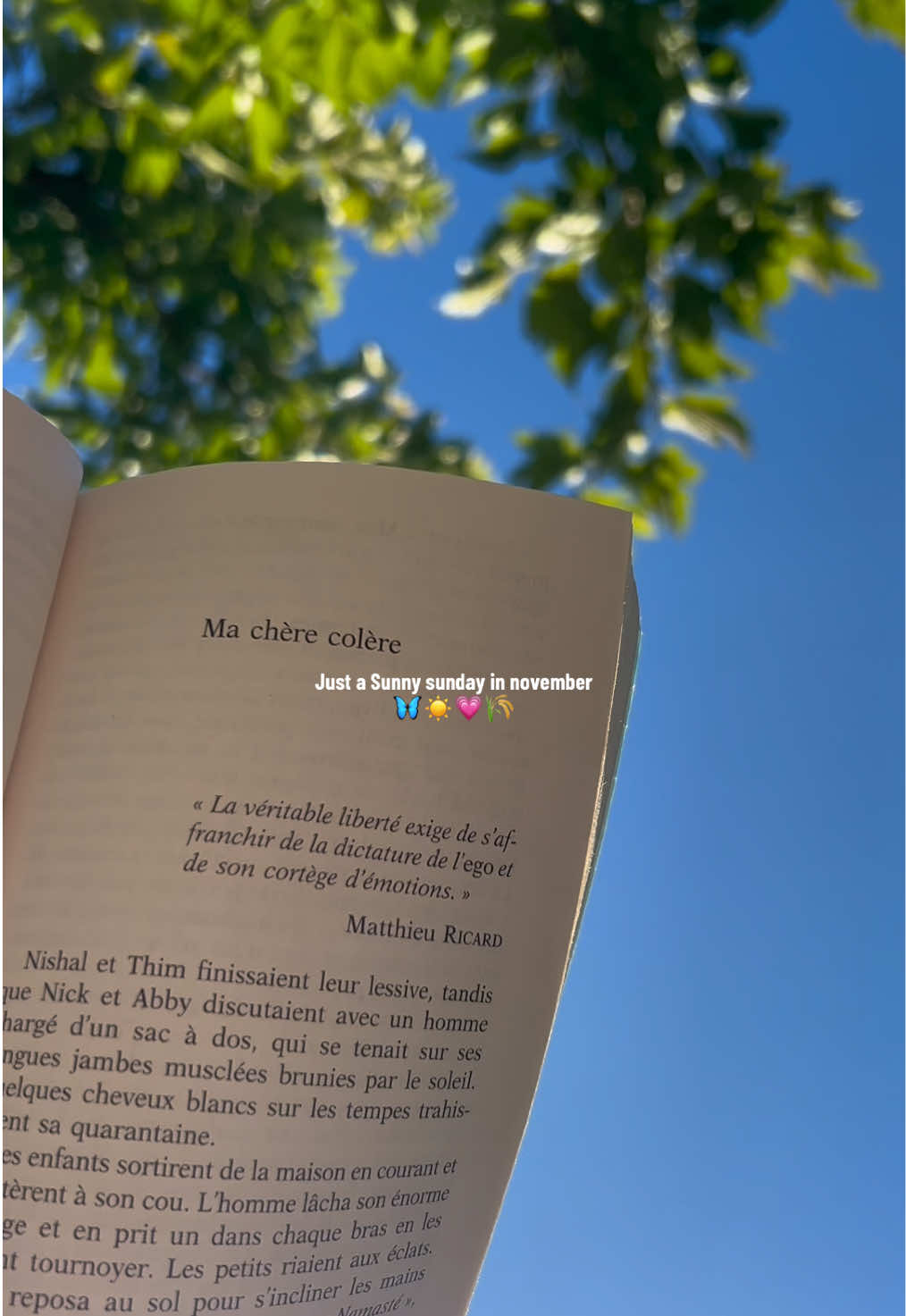 Enjoy the november sun in the south 🥰 #fyp #sunday #autumnvibes🍁 