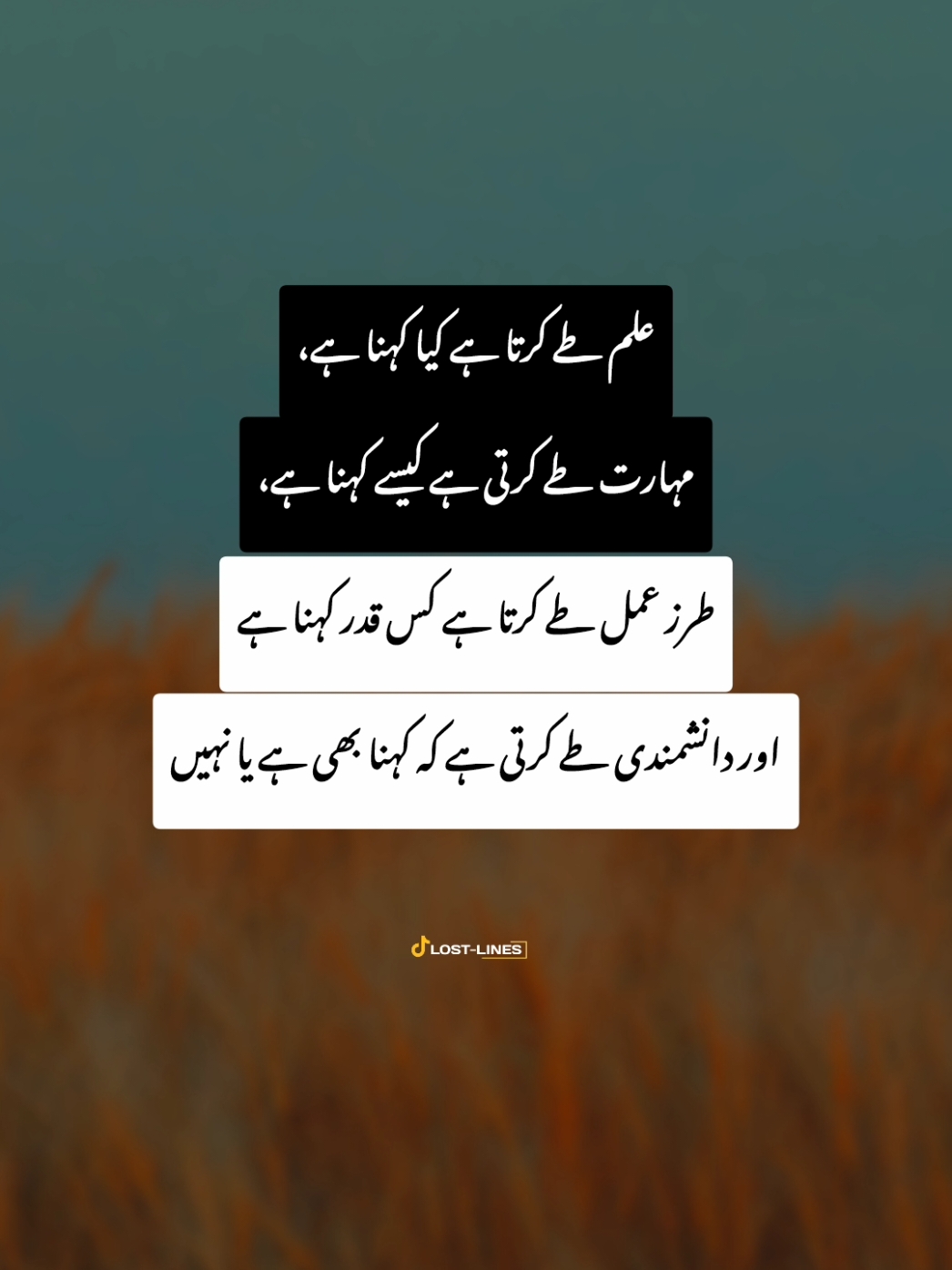 💯#foryou #foryoupage #fypシ #sochseyzyada#lostlines #viral #tiktok #fyp 