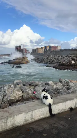 #جيجل #jijel #jijel_____algér⚡❤ 