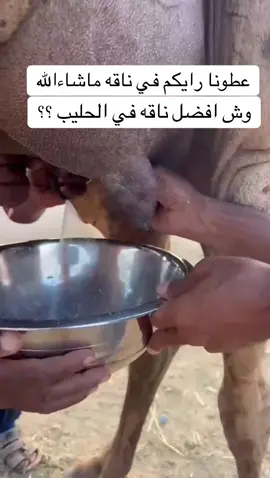 #اكسبلورررررررررررررررررررر💥🌟💥🌟💥💥🌟🌟🌟🌟🌟 #شعب_الصيني_ماله_حل😂😂 #الابل_عطايا_الله_عشاق_البداوة_🐪😍 #fyp #ترند_تيك_توك 