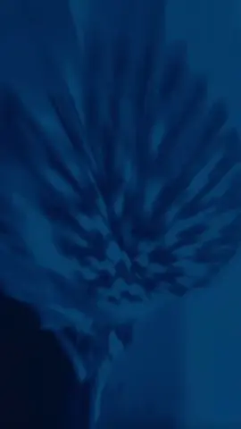 💙🐎#ittz_ra7m4 #english #blue #girl #kurdistan 