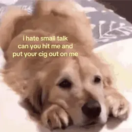 ok hai lol #thepuppybyyourfeet #videodiary #xyzbca #fyp #foryoupage 