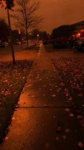 #night #vibe #dark #rain 