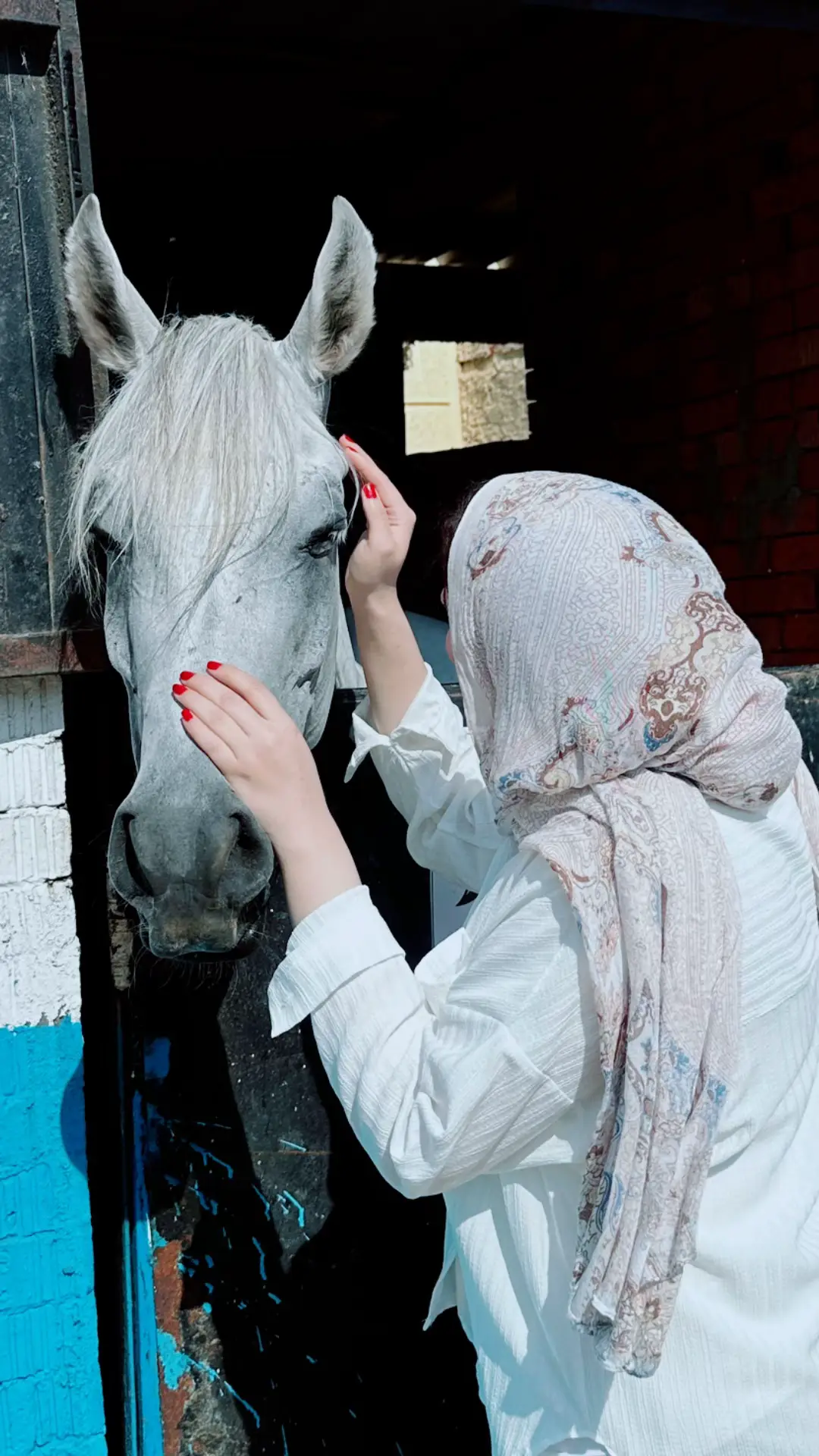 #foryou #fyppppppppppppppppppppppp #طب_بيطري #خيول #pets 