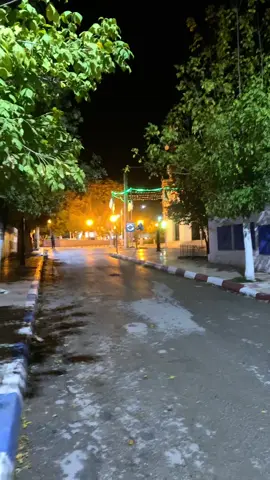 #fyp #algeria #pourtoii 