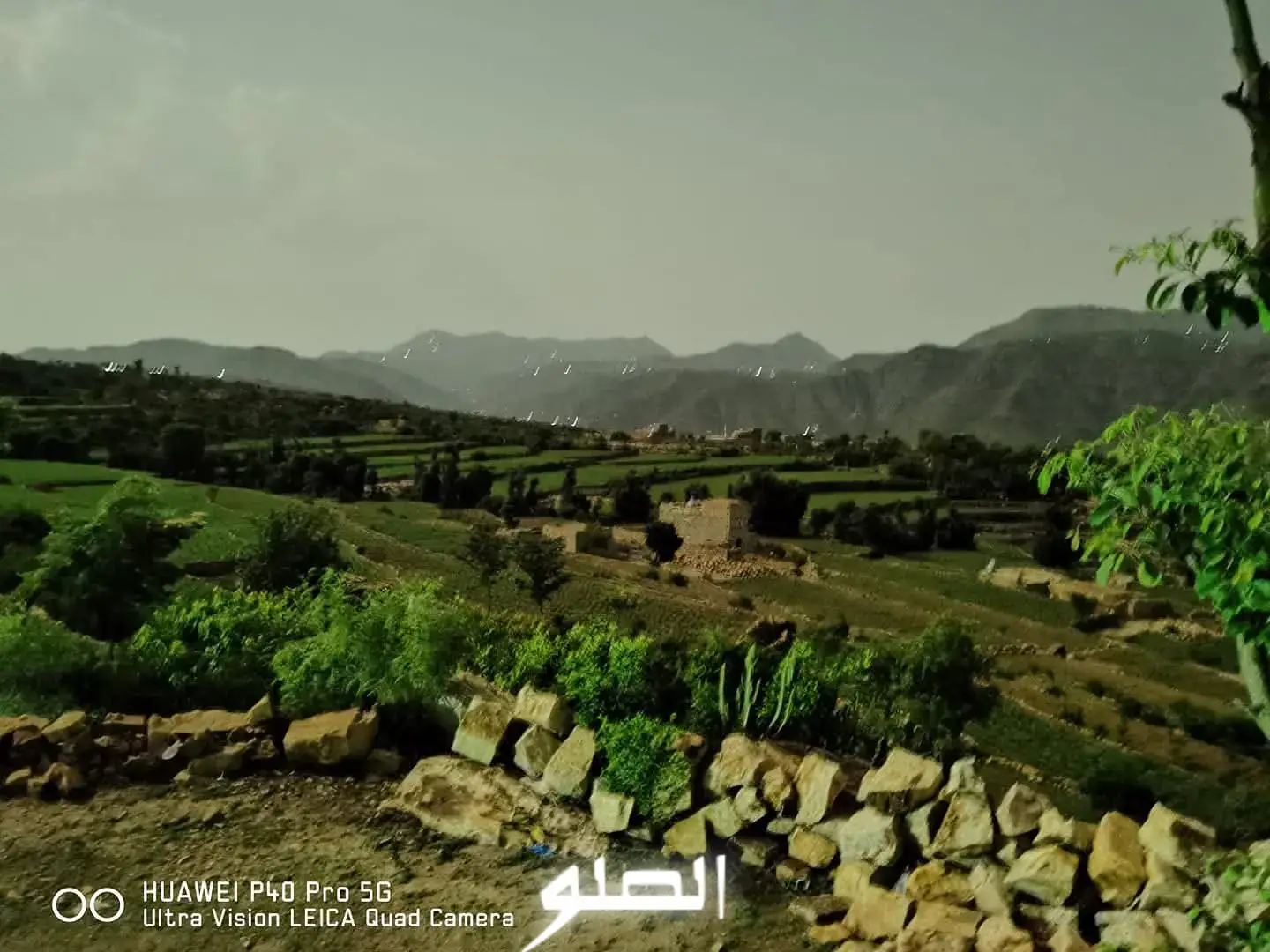 #creatorsearchinsights #اليمن🇾🇪 #تعز #الصلو #2025 