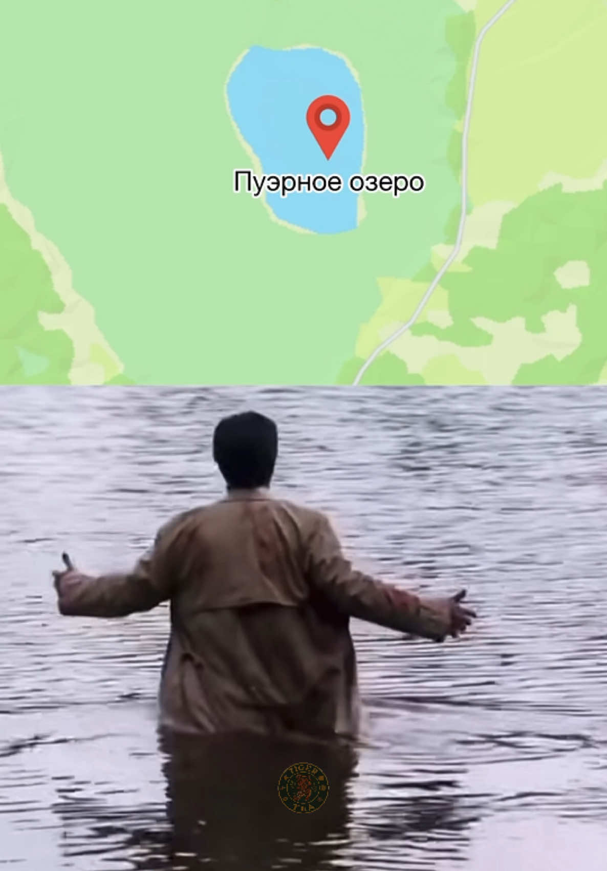 Ну мечта😍 #tigerteashop #чай #китайскийчай #fyp #tea 