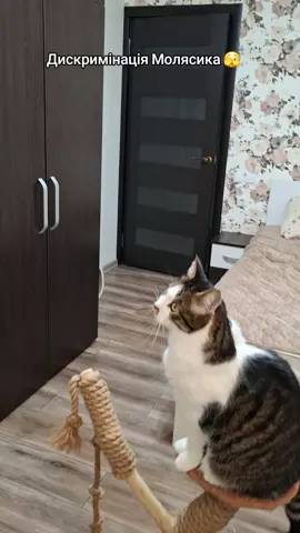 Кусь за жопку рішає всі проблеми 😆