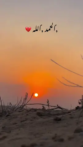 #لا_اله_الا_الله_محمد_رسول_الله #اللهم_صلي_على_نبينا_محمد #الحمدالله_علی_کل_حال❤ 