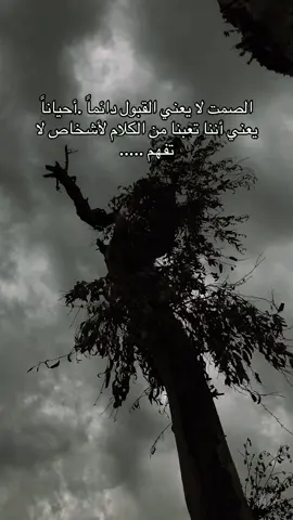 الصمت لا يعني القبول دائماً .أحياناً يعني أننا تعبنا من الكلام لأشخاص لا تفهم #شعراء_وذواقين_الشعر_الشعبي🎸 #قصائد_شعر_خواطر #عبارات_عن_الحياة #trending #pov 