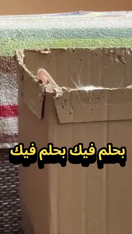 #tiktokacademy #1millionviews #1millionaudition #1m #سعوديون 