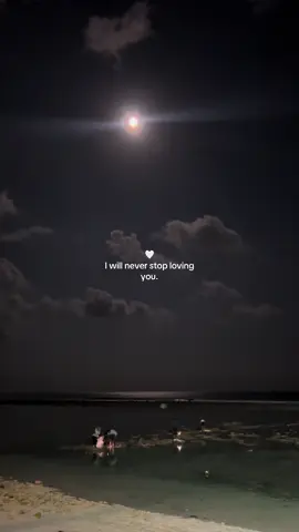 I will never stop loving you.