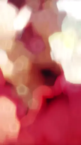 ১৩ তারিখ লগডাউন মেনে চলুন#গোপালগঞ্জ #CapCut #@Hemel Ahmed 