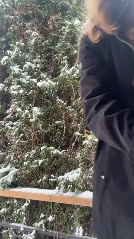 Oh boy it’s snowing!