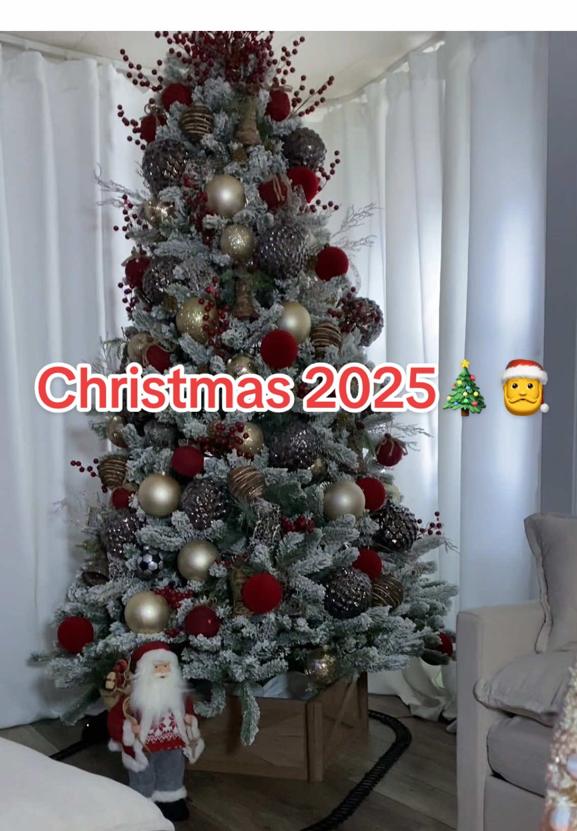 Llegó navidad a mi hogar 🎄🎅❤️ #christmas #christmastree #christmas2025 