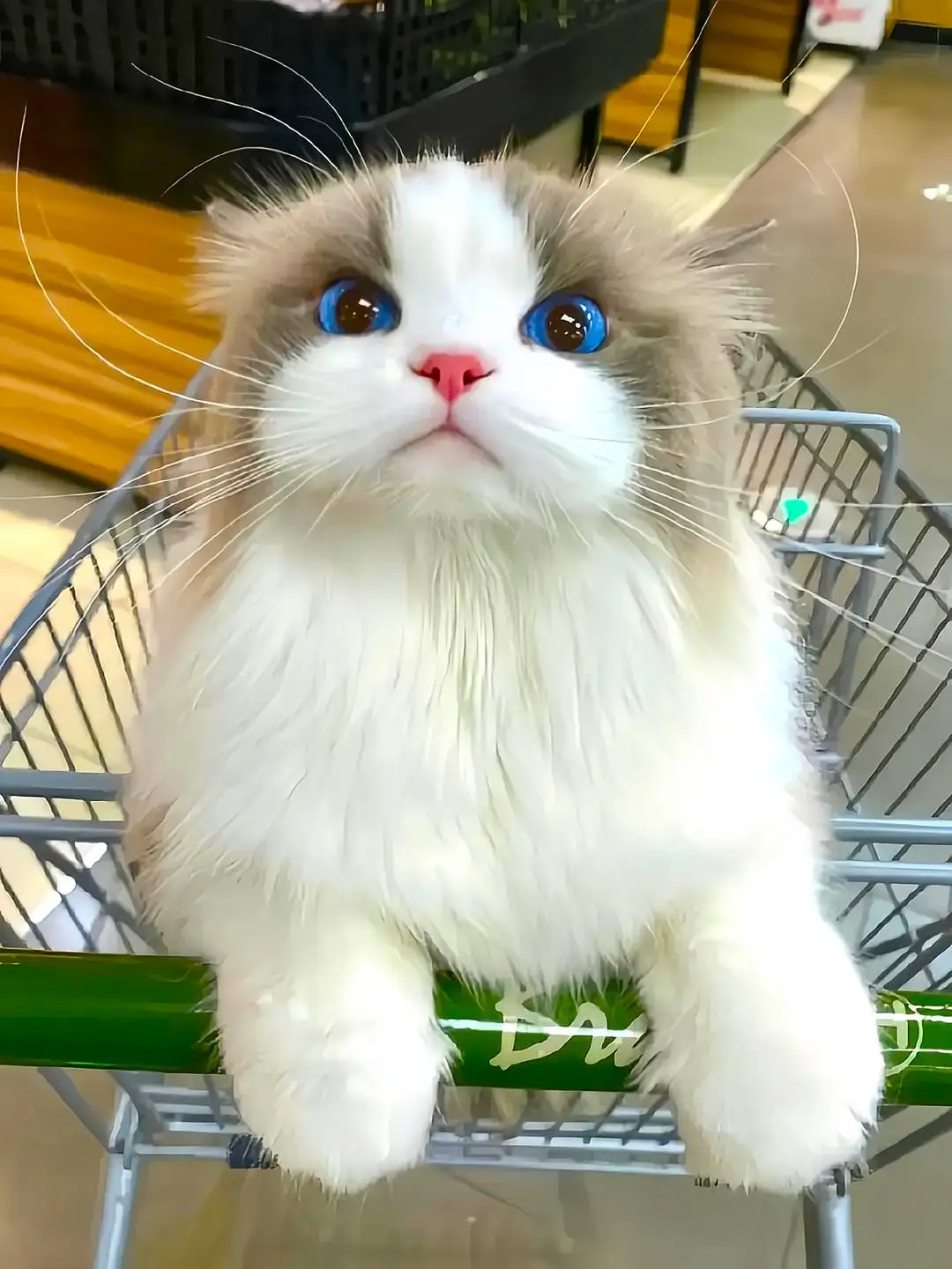 #arimakana #animeedit #oshinoko #rubyhoshino #ship #fyp #foryoupage