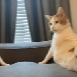 Lkin aniga aniga shiid ahy xage iga martay lacagtaw😂🤦🏾🦦#สโลว์สมูทสปีดสโลว์ #viewsproblem💔😔 #fybシviral #foryoupage #murusadenimo🐎🇵🇷 