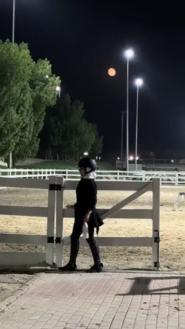 القمر🤍#kuwait #fyp #فارس #خيل #explore #kwt #خيل_وخياله🐎 #horesriding #viral #equestrian #الشعب_الصيني_ماله_حل😂😂 #قفز_حواجز #fypシ 