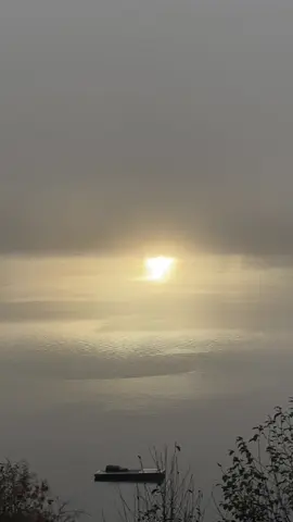 THERES NO PLACE LIKE HOME morning views from my own personal paradise 🦭🌫️✨ #pnw #salishsea #washington #seal #noplacelikehome 